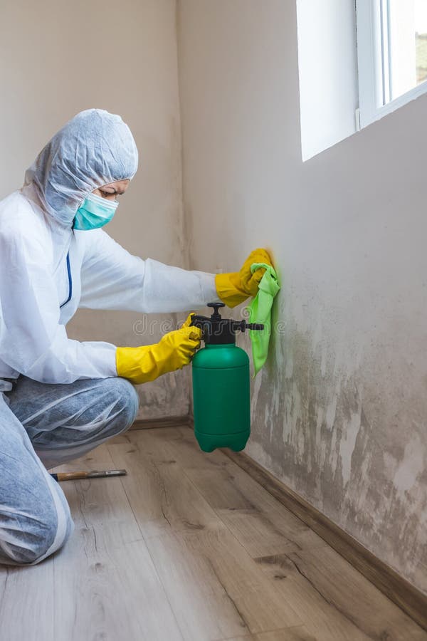 Technician removing mold from a wall